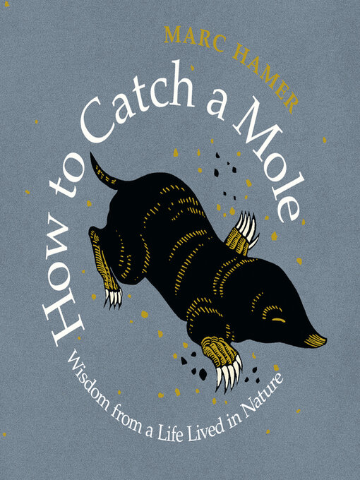 Title details for How to Catch a Mole by Marc Hamer - Available